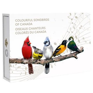 Colourful Songbirds